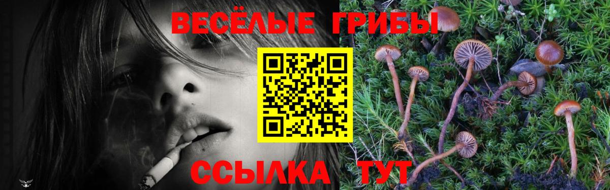 Кинель  Галлюциногенные грибы Psilocybine cubensis  Вход с VPN  Галлюциногенные грибы прущие грибы 